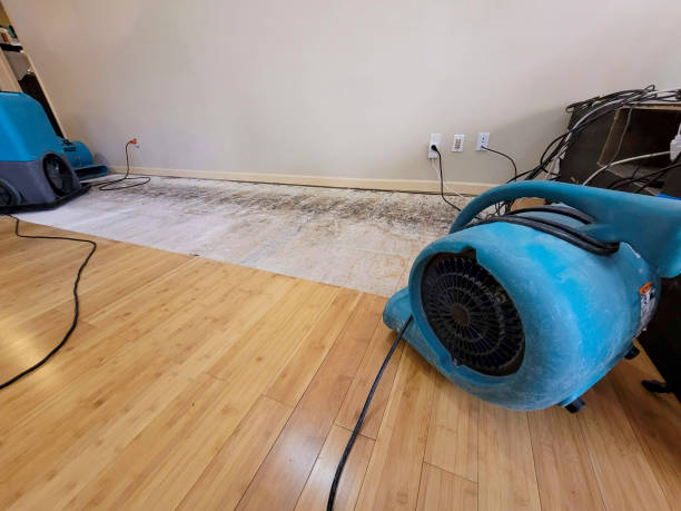 Professional Basement Flood Cleanup technician working in Ashburn, GA
